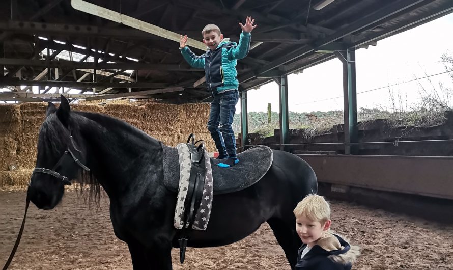 Horse riding and vaulting – with and without Corona
